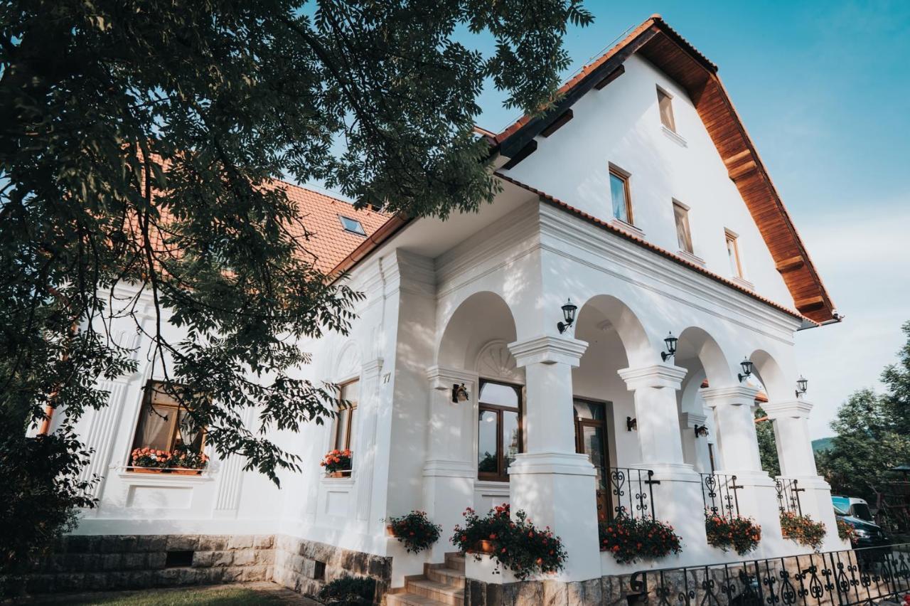 Hotel Conacul Secuiesc-Szekelyko Kuria Coltesti Zewnętrze zdjęcie